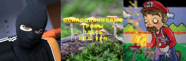 твердый Нягань