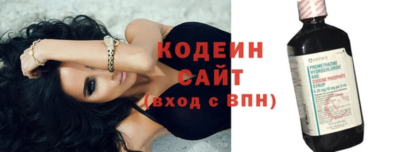 хмурый Няндома