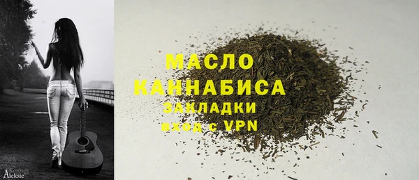 хмурый Няндома