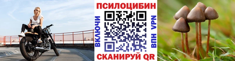 Псилоцибиновые грибы прущие грибы  Щучье 